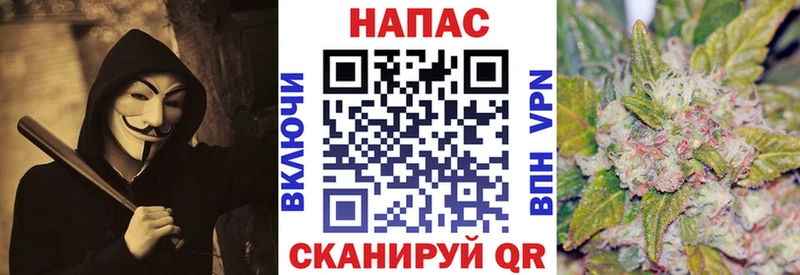 Канабис сатива  Карабаш 